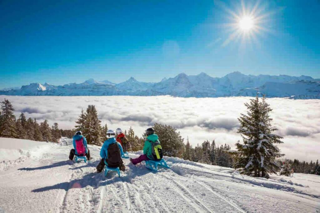 Chalet Mignon - Your Vacation Oasis At Lake Brienz โบนิเกน ภายนอก รูปภาพ